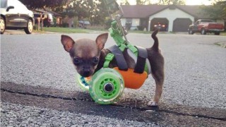 big_mini5