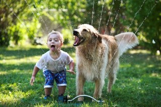 petsandkids1_mini