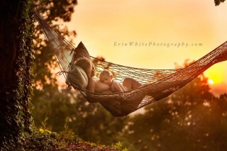 bfknox-5589web__880