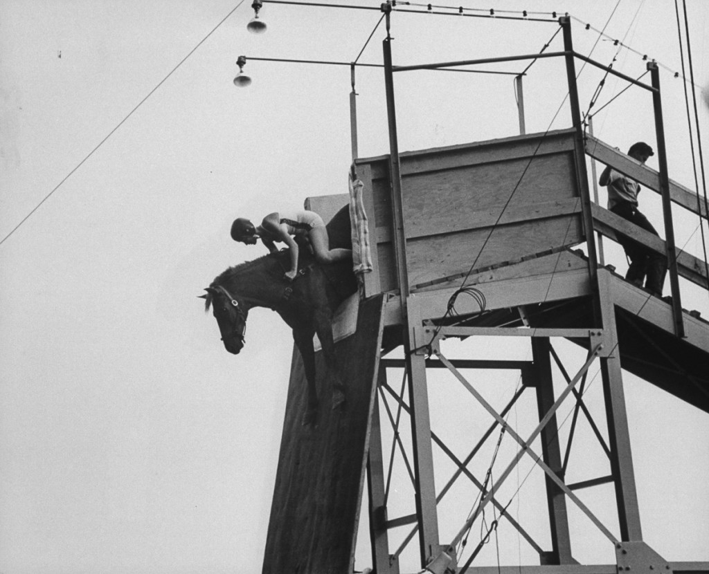 Ready to jump the diving horse extends forefeet.  (Photo by Peter Stackpole/The LIFE Picture Collection/Getty Images)
