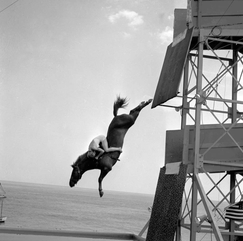 circa 1955:  A diving horse mid-dive with the rider clinging to its neck.  (Photo by Three Lions/Getty Images)