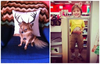 FotorCreated (1)