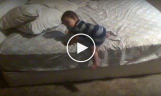 baby-genius