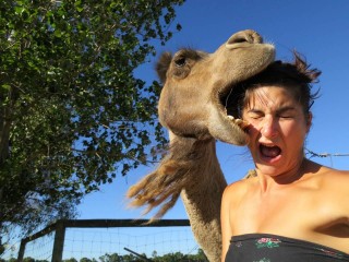 original (2)