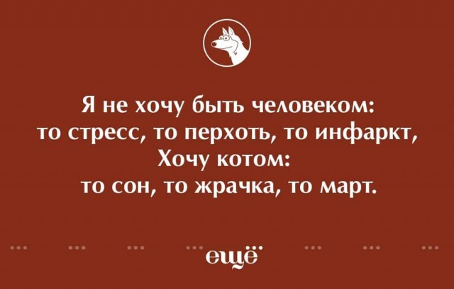 Стишки-пирожки для тех, кто относится к жизни философски