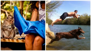 FotorCreated (1)