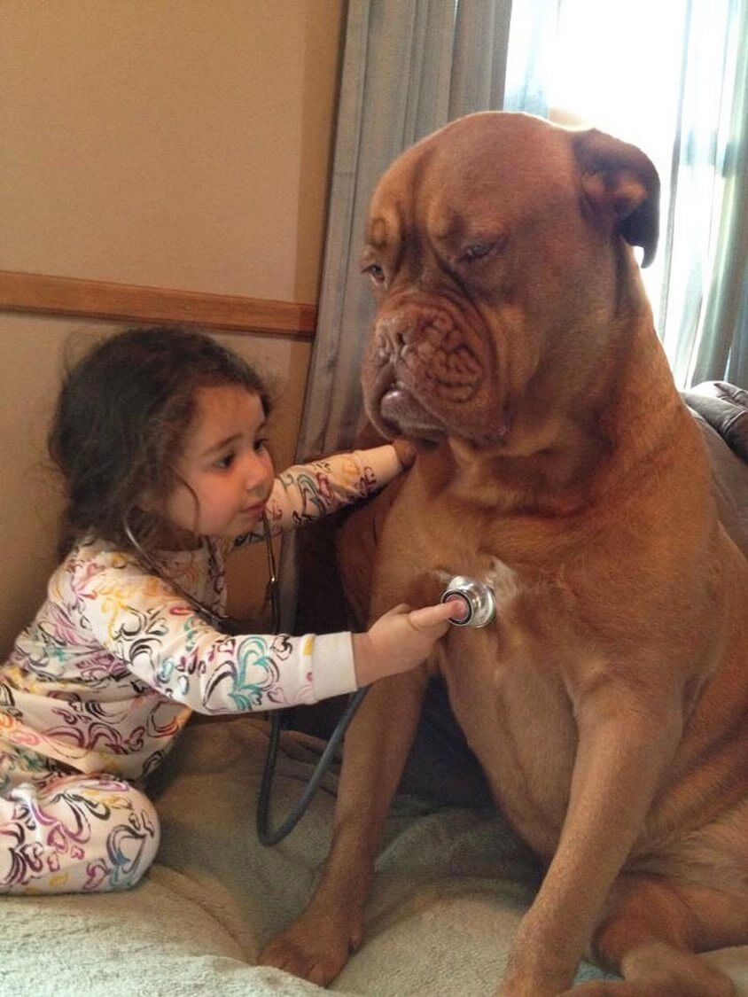11-cute-big-dogs-and-babies-17 (1)