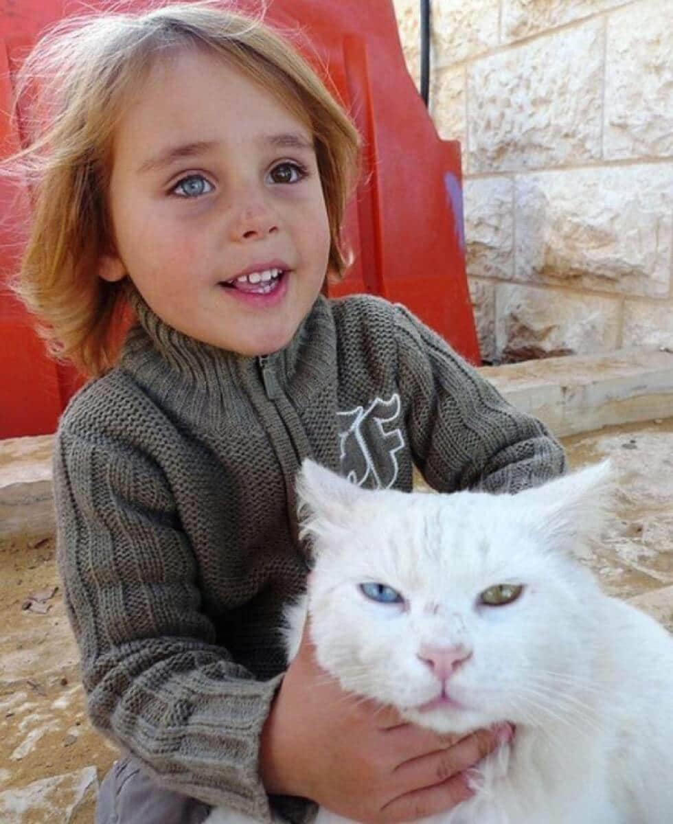 israeli-boy-cat__605 (1)