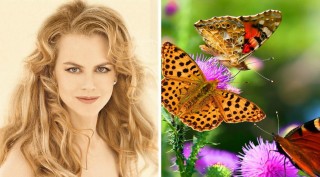 FotorCreated53