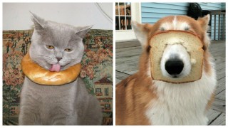 FotorCreated