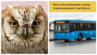 FotorCreated
