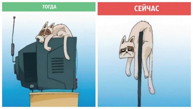 15 иллюстраций о том, как изменился наш с вами мир