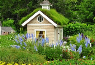 She-Shed
