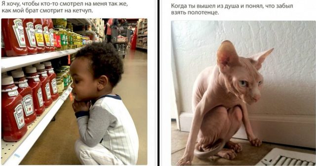 Уходи, грусть-тоска! 17 популярных твитов о нашей жизни, которые поднимут тебе настроение!