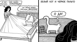 fotorcreated