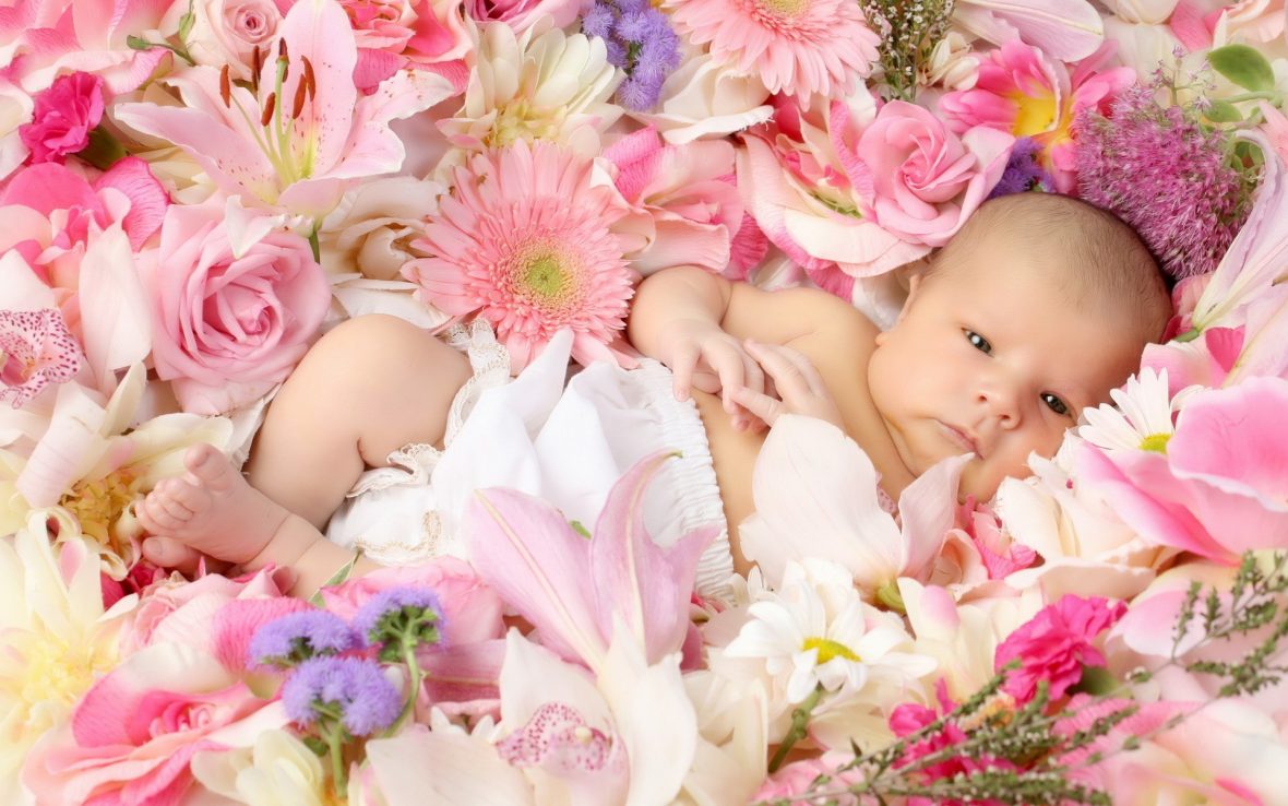 child-children-babe-babe-flower-roses-lilies-gerbera-happiness-schate-positive