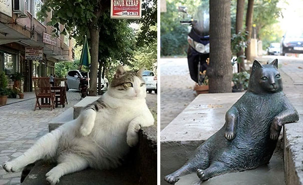 laid-back-cat-statue-tombili-istanbul-81