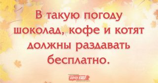 цитаты про осень