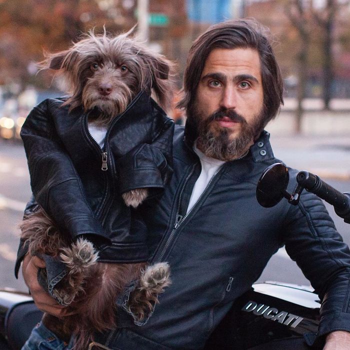 dog-dad-matching-outfits-topher-brophy-rosenberg-34-5835973669fbd__700