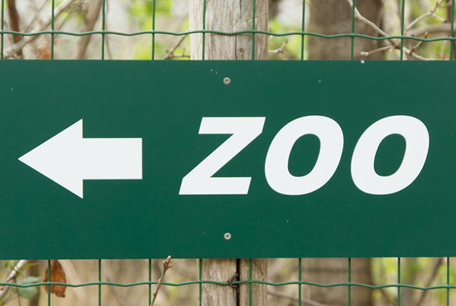 Green zoo
