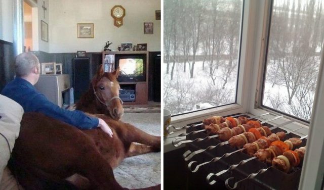 Конь, свиньи и курочки… 15 причин, почему этим людям просто необходим свой частный дом!