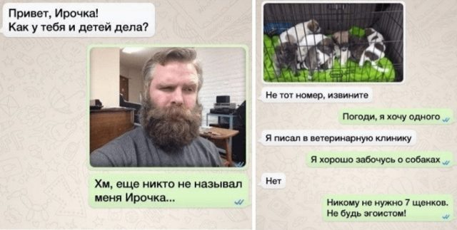 10 юмористов, которые не постеснялись ответить на СМС от незнакомцев! :)