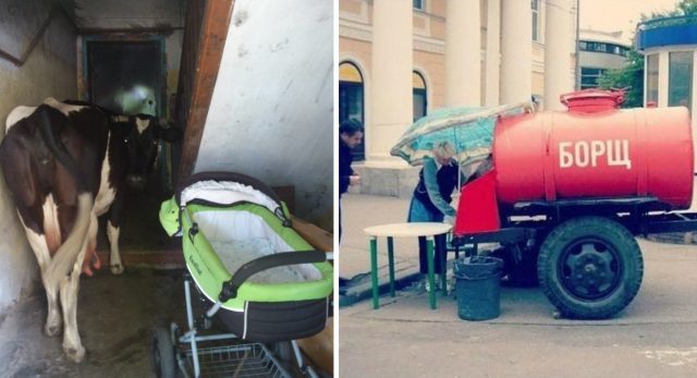 О, странный мир… Жужжащая подборка необъяснимых фото из соцсетей!