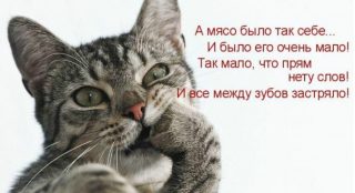 FotorCreated