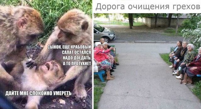Свеженькая порция смеха! Отличное настроение заказывали? :)