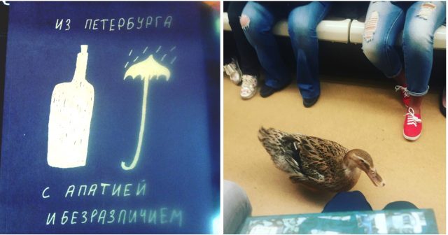 В Питере жить! Давай узнаем, каково это — быть жителем северной столицы))