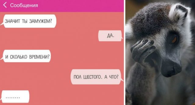 Занимательные СМС от бедняг, которых немного неправильно поняли…)
