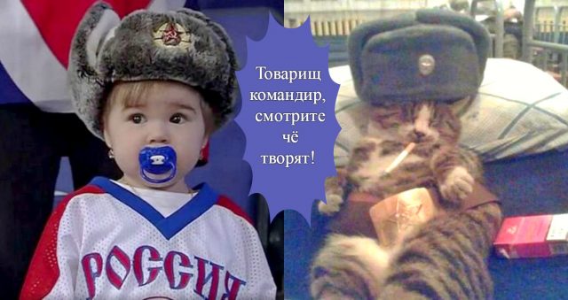 Русский колорит во всём его разнообразии! ;) Фото, которые могли быть сделаны только тут…