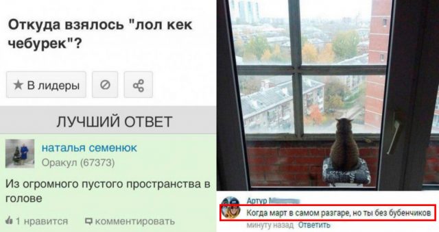 Это шедеврально! Крутые комментарии из соцсетей против весенней депрессии :)