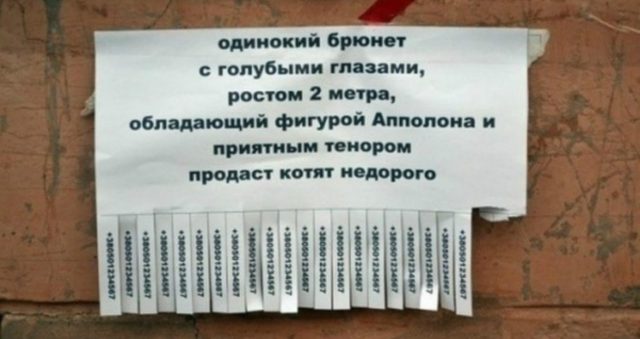 Пфф, да кому нужна реклама? Объявления, придуманные народом, в 100 раз эффективнее! :)