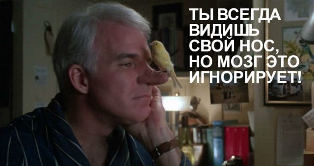 Присядь-ка от удивления! Неожиданные факты, о которых ты раньше не задумывался… :)