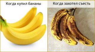 FotorCreated1