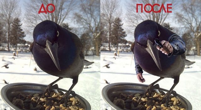 Смеху быть! :) 25 уморительных картинок от настоящих гуру фотошопа…)