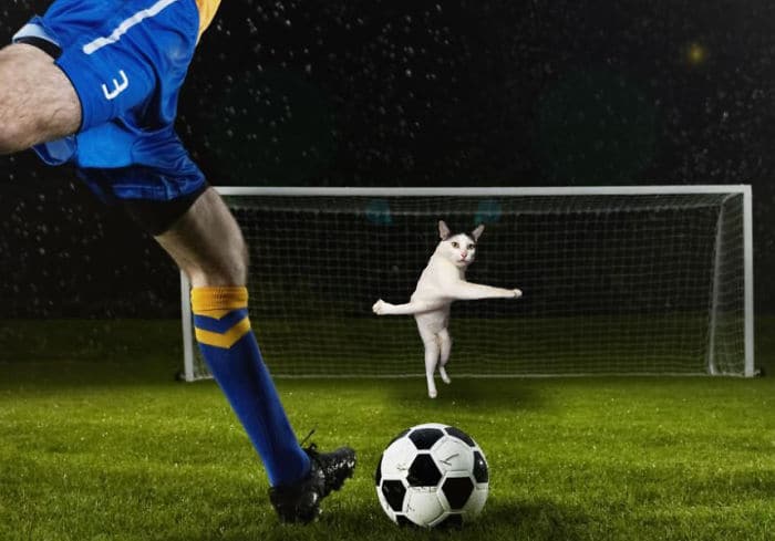 Котики играют... в футбол! 13 самых уморительных картинок от мастеров фотошопа ) рис 11