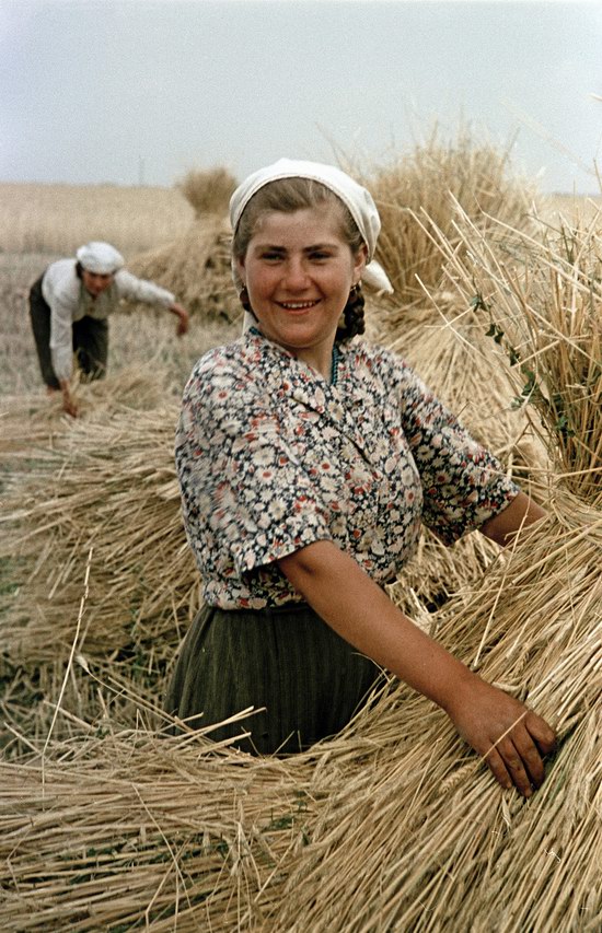 Так жили наши семьи! 21 самое атмосферное фото о жизни в СССР пятидесятых годов ) рис 13