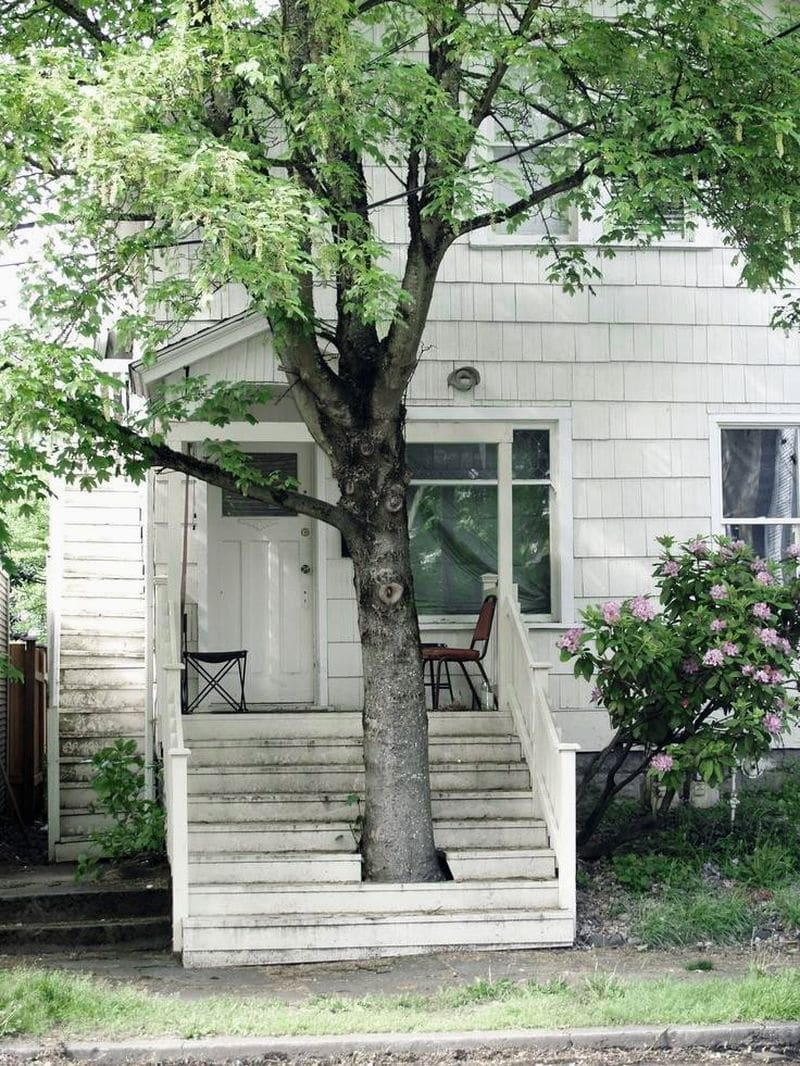 Дерево как часть... интерьера! )) 13 самых потрясающих эко-решений для частных домов
