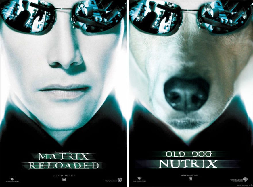 Пёс, который сыграл всех! :) 25 самых забавных постеров к фильмам, где собака заменила главных героев! ) рис 10