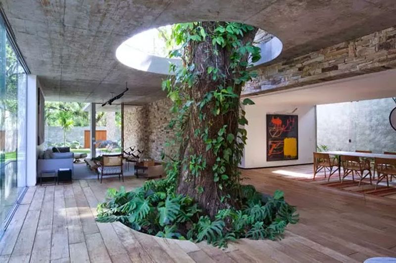 Дерево как часть... интерьера! )) 13 самых потрясающих эко-решений для частных домов рис 2