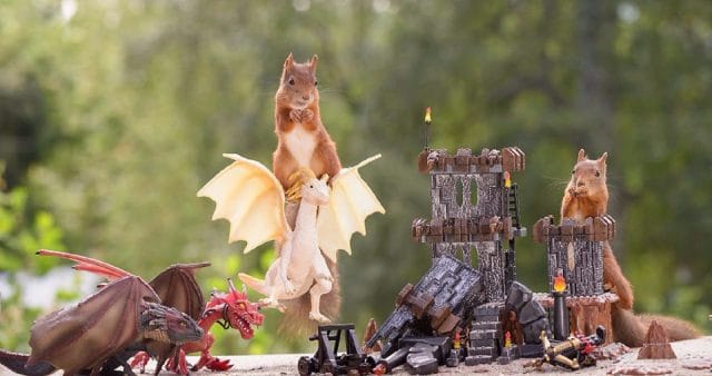 Ничего ты не знаешь, Джон Белкович… :) 15 самых забавных фото, где белки заменили персонажей «Игры престолов»! ))