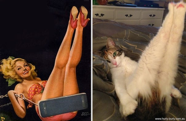 Кошки - лучшие фотомодели! 13 самых талантливых котов, которые позируют как пин-ап модели) рис 9