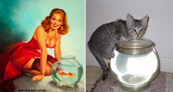 Кошки - лучшие фотомодели! 13 самых талантливых котов, которые позируют как пин-ап модели) рис 3