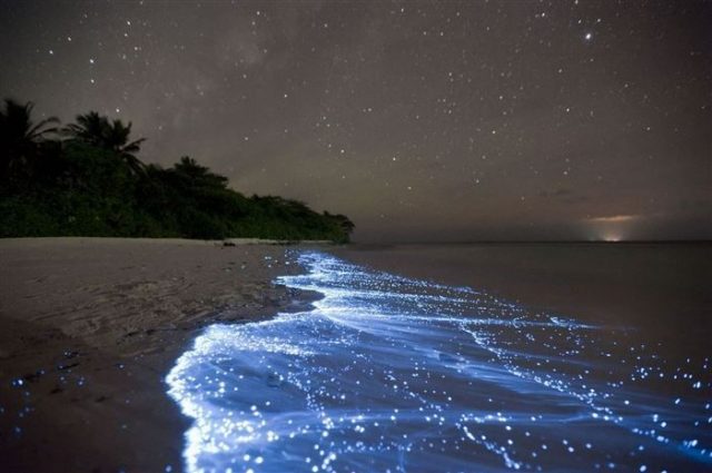 20-incredible-natural-phenomenons-that-seem-impossible-but-are-totally-true-04