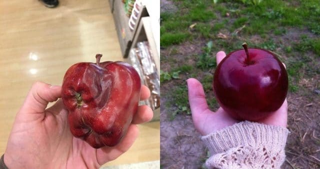 Сплошные контрасты! 16 самых противоречивых фото, которые сначала разозлят, а потом успокоят… :)