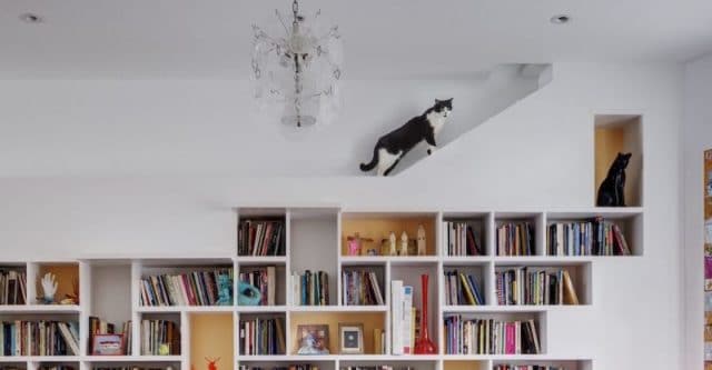 House-for-Booklovers-and-Cats-by-BFDO-Architects-4-1020x530