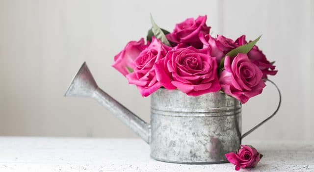 Признаки свежести цветов: как сделать так, чтобы капризные розы стояли в вазе, как оловянные солдатики? :) рис 6