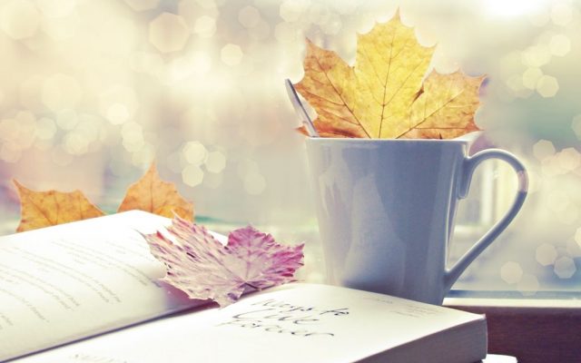 6 книг, которые нужно прочесть в ноябре, чтобы жизнь заиграла новыми красками! рис 2